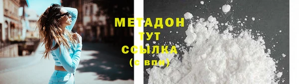 PSILOCYBIN Богородицк