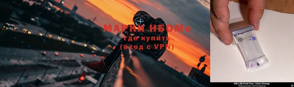 не бодяженный Богданович