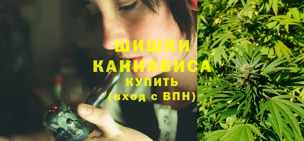 PSILOCYBIN Богородицк