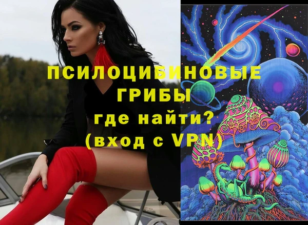 PSILOCYBIN Богородицк