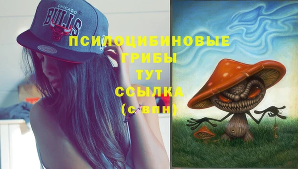 PSILOCYBIN Богородицк