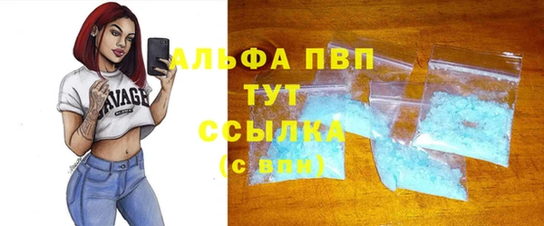 PSILOCYBIN Богородицк
