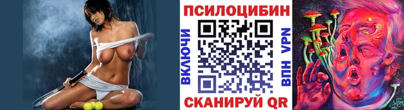 Купить закладки  Малая Вишера  Галлюциногенные грибы мухоморы 